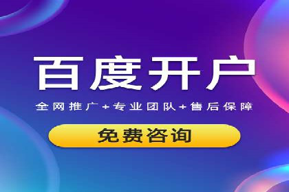 百度SEO与广告结合的多元化推广策略——多行业成功案例